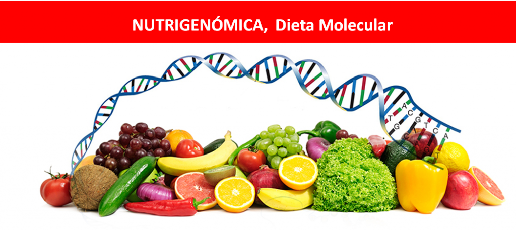 nutrigenomica