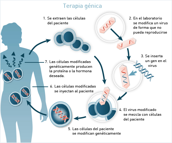 terapia génica